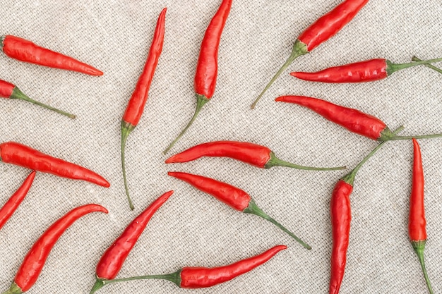 Muitos pequeno hot red chili peppers close-up lance em ordem aleatória em têxteis de pano de saco natural