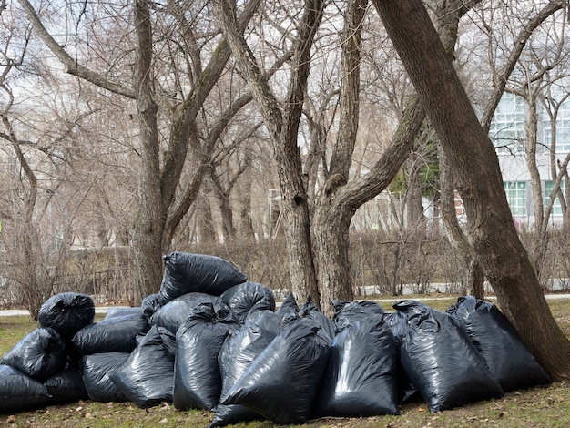 Muitos sacos de lixo pretos com folhagem ou lixo. Limpeza das ruas da cidade de lixo, coleta de lixo.
