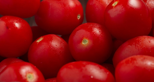 Muitos tomates frescos maduros com gotas de orvalho Closeup background