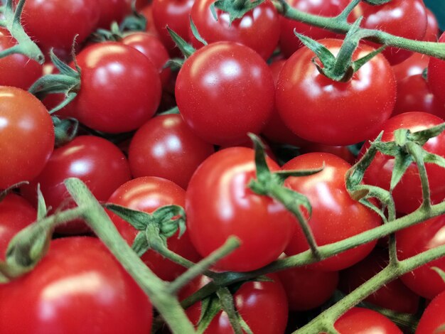 Muitos tomates vermelhos com folhas verdes e galhos