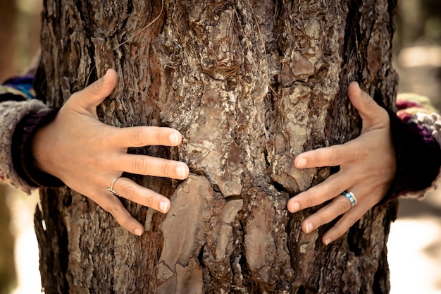 Foto mujer abrazando corteza de árbol - dedos con anillos y protección del amor concepto de naturaleza ambiental para un nuevo mundo sintiendo los espacios naturales al aire libre - amor y juntos para siempre con árboles