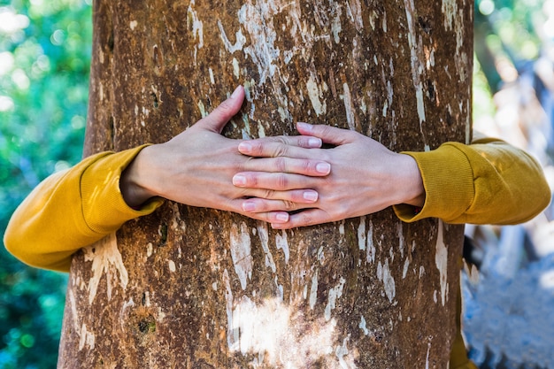 Foto mujer abrazando un gran tronco de árbol