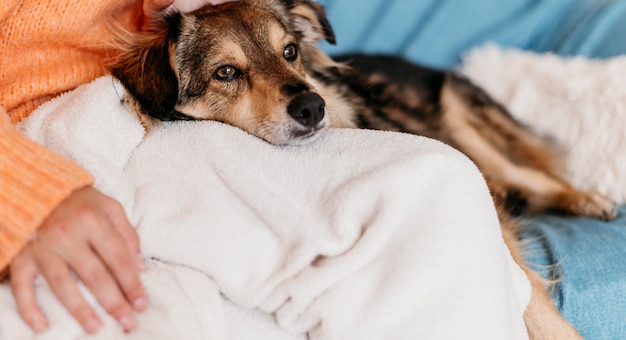 Foto mujer acariciando adorable perro