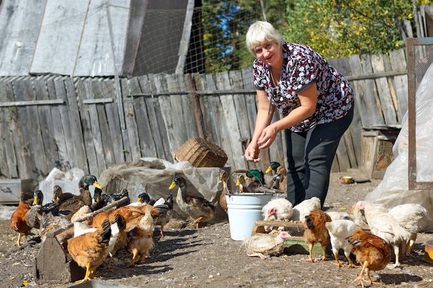 Mujer adulta alimentando pollos y patos en la granja en el campo