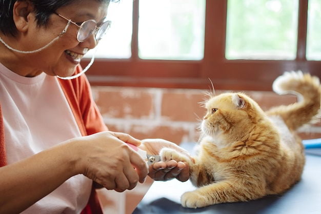 Una mujer adulta asiática feliz jugando con un gato lindo.