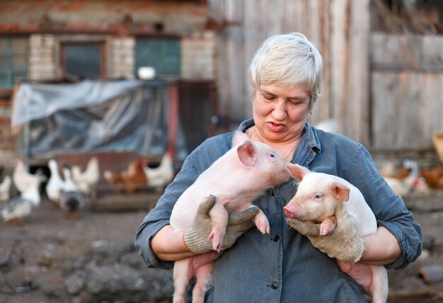 Mujer adulta en manos de dos cerditos. la cría de animales