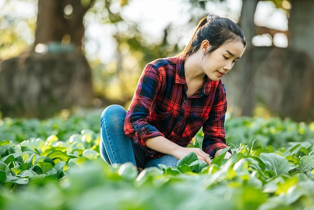 Mujer Agrícola que trabaja en una granja de hortalizas orgánicas