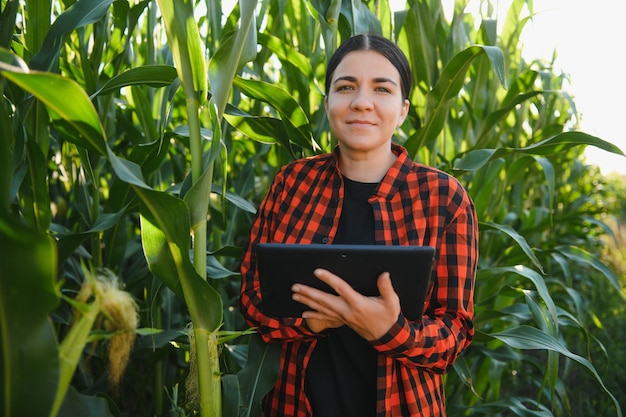 Mujer agricultora agrónoma en campo de maíz trabajadora agrícola analizando el desarrollo de cultivos