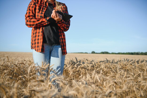 Mujer agricultora analizando cultivo de trigo