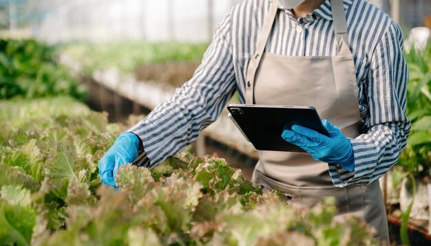 Mujer agricultora asiática que busca verduras orgánicas y sostiene una tableta para verificar pedidos o calidad farmxA