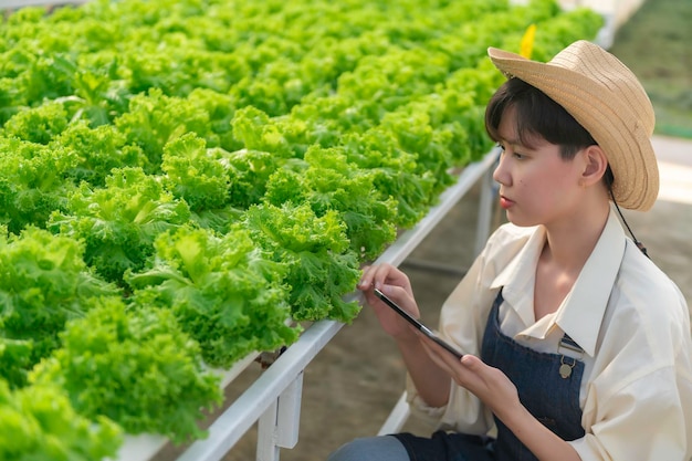 Mujer agricultora asiática que trabaja en una granja de ensaladas Mujer asia Cultivando verduras para un negocio mayorista en el mercado de productos frescos