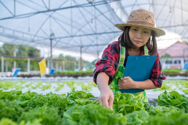 Mujer agricultora asiática que trabaja en la granja de ensaladas Plantación de vegetales hidropónicos orgánicos para pequeñas empresas