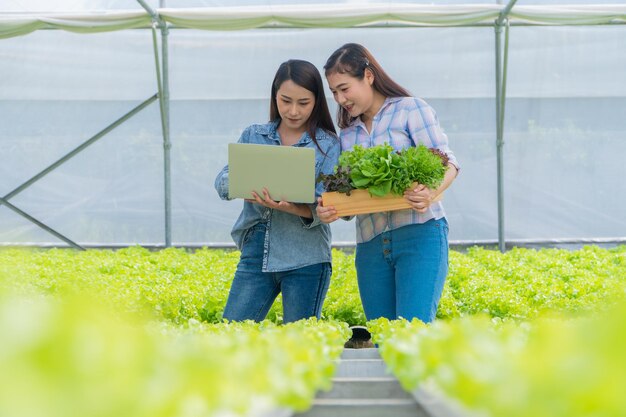 Mujer agricultora asiática sosteniendo una cesta de verduras de ensalada de verduras frescas en una granja orgánica