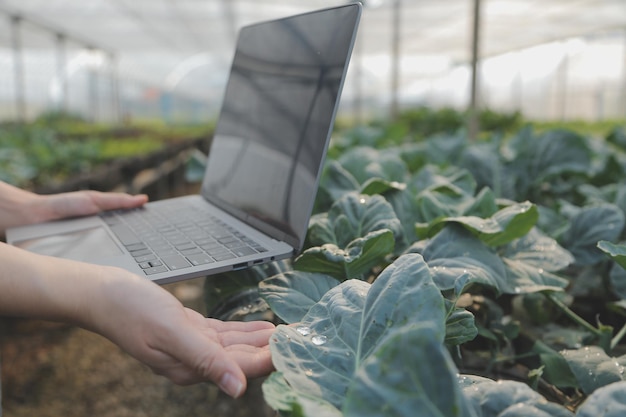 Foto mujer agricultora asiática usando tableta digital en huerta en invernadero concepto de tecnología de agricultura empresarial agricultor inteligente de calidad