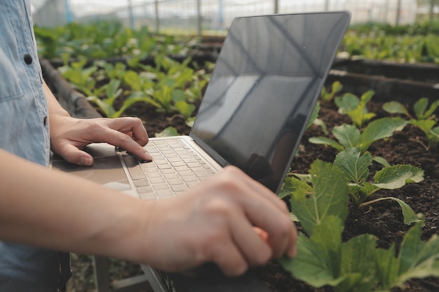 Mujer agricultora asiática usando tableta digital en huerta en invernadero Concepto de tecnología de agricultura empresarial agricultor inteligente de calidad