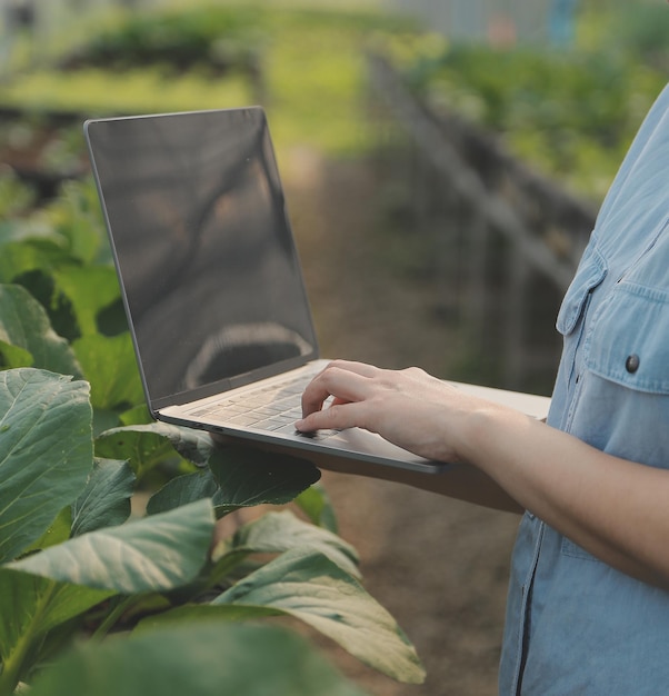 Mujer agricultora asiática usando tableta digital en huerta en invernadero Concepto de tecnología de agricultura empresarial agricultor inteligente de calidad