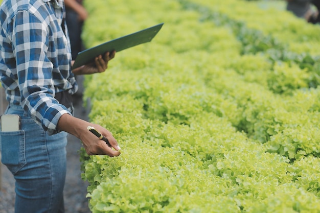 Mujer agricultora asiática usando tableta digital en huerta en invernadero Concepto de tecnología de agricultura empresarial agricultor inteligente de calidad