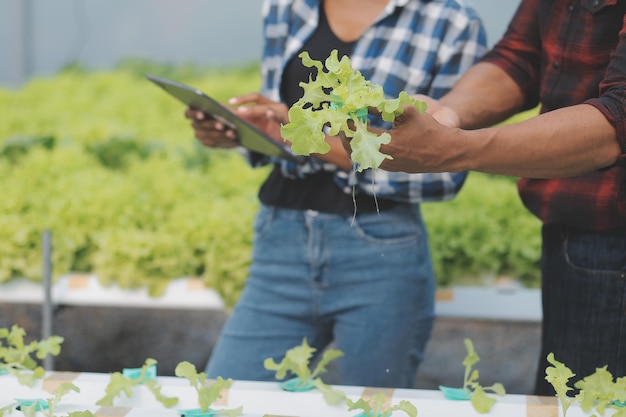 Mujer agricultora asiática usando tableta digital en huerta en invernadero Concepto de tecnología de agricultura empresarial agricultor inteligente de calidad