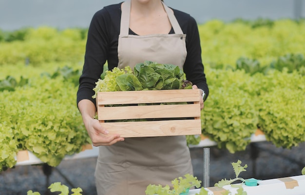 Mujer agricultora asiática usando tableta digital en huerta en invernadero Concepto de tecnología de agricultura empresarial agricultor inteligente de calidad