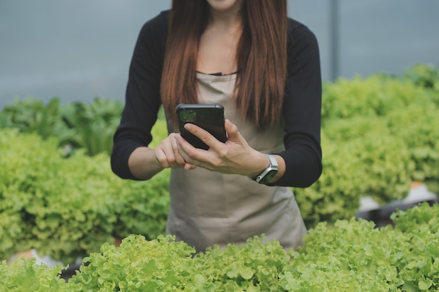 Mujer agricultora asiática usando tableta digital en huerta en invernadero Concepto de tecnología de agricultura empresarial agricultor inteligente de calidad