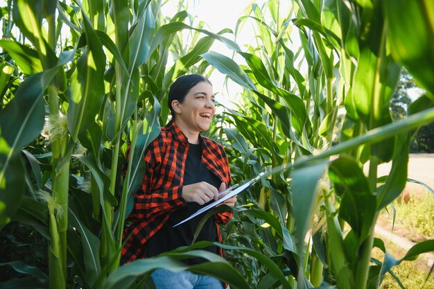 Mujer agricultora en un campo de mazorcas de maíz