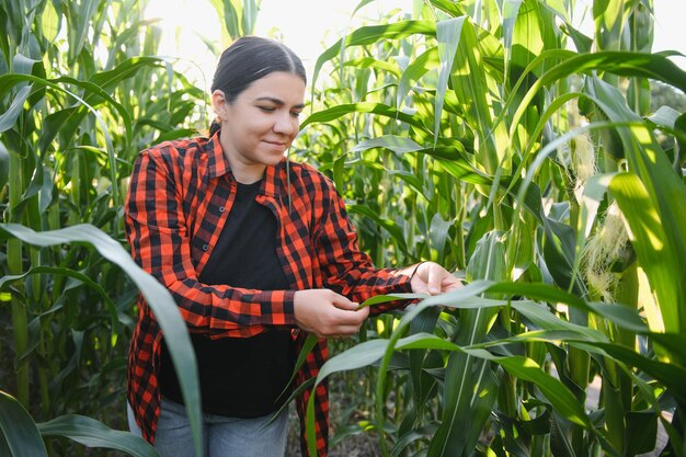 Mujer agricultora en un campo de mazorcas de maíz