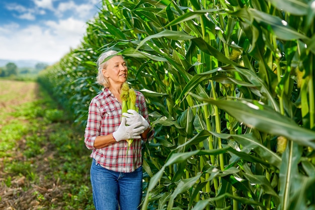 Mujer agricultora con una cosecha de maíz