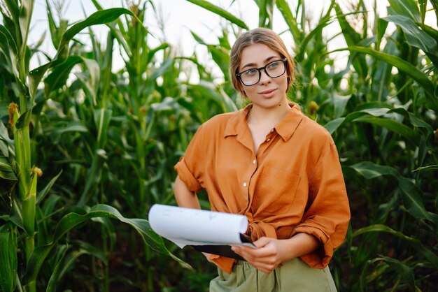 Mujer agricultora se encuentra en el campo inspecciona plantaciones de maíz verde Industria agrícola Cuidado de la cosecha