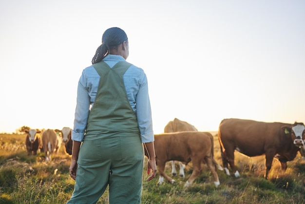 Mujer agricultora y ganadera en el campo en un campo de hierba al atardecer con grupo de vacas y trabajadora Mujer de espalda y agricultura al aire libre con animales y ganado para cultivar en la naturaleza con libertad