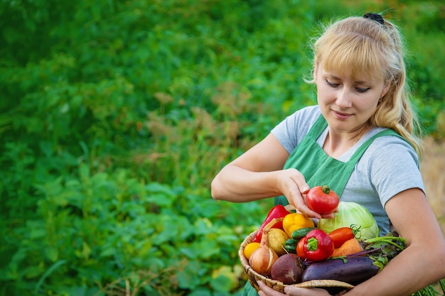 Mujer agricultora en el huerto con una cosecha de verduras. Enfoque selectivo. Comida.