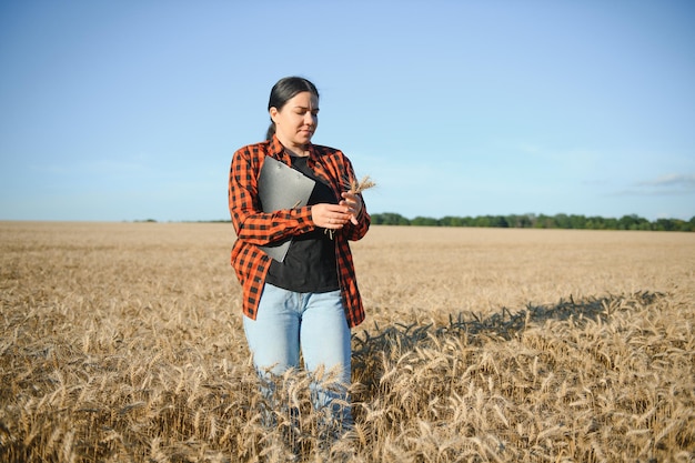 Mujer agricultora que trabaja en el campo de trigo al atardecer Mujer de negocios agricultora agrónoma mira una tableta en el campo de trigo Tecnólogos modernos y aparatos en agricultura Mujer de negocios que trabaja en el campo