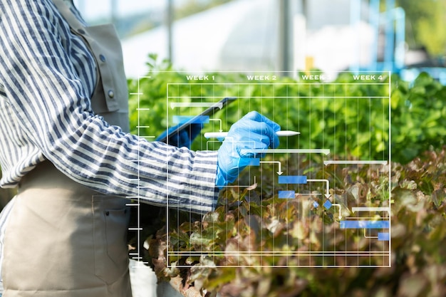 Foto mujer agricultora que usa una tableta digital en la aplicación de tecnología de campo en la actividad de cultivo agrícola