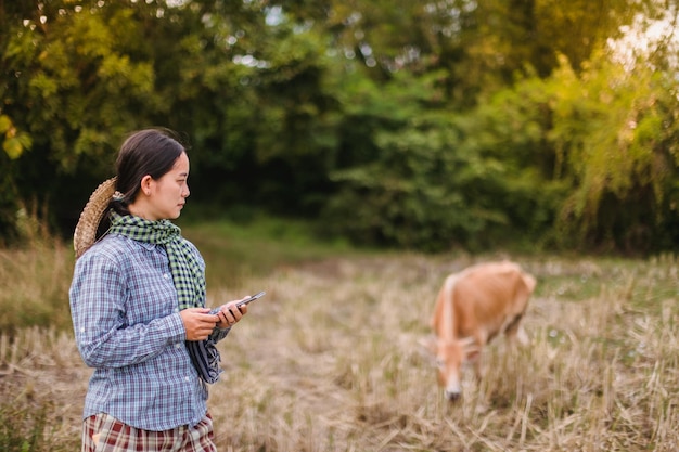 mujer agricultora que usa tecnología móvil en el campo de arroz