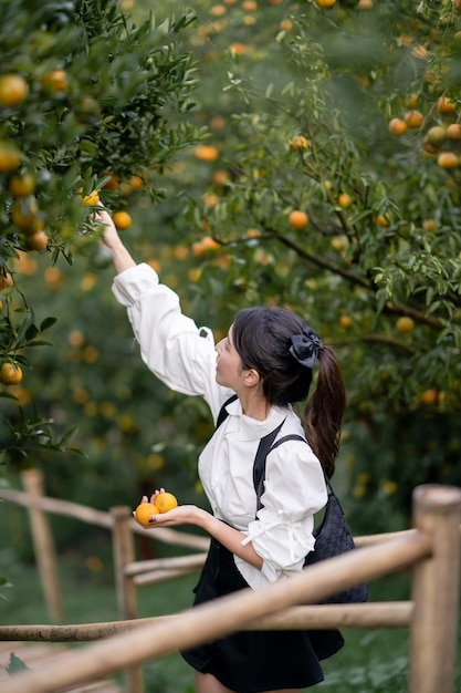 Mujer agricultora recogiendo cuidadosamente naranja madura en el huerto