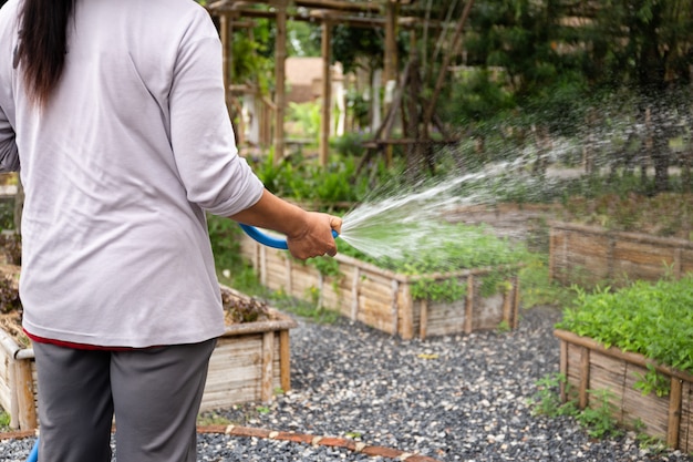 Mujer agricultora regando vegetales de la manguera.