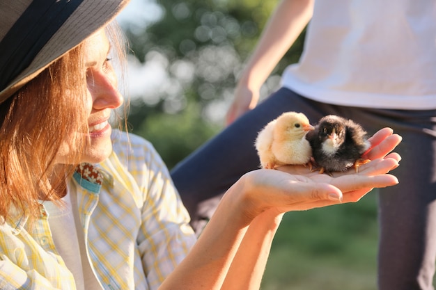 Foto mujer agricultora sosteniendo en las manos dos pequeños pollos recién nacidos