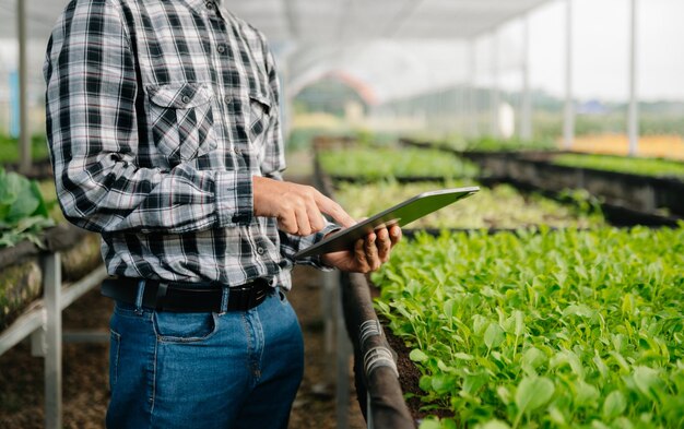 Mujer agricultora de tecnología agrícola que sostiene tecnología de tableta o tableta para investigar sobre datos de análisis de problemas agrícolas e icono visualAgricultura inteligente xA