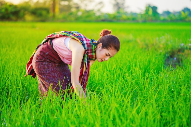 mujer agricultora trabajando en campo de arroz