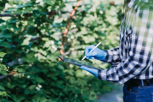 Mujer agricultora trabajando temprano en la granja sosteniendo una cesta de madera de verduras frescas y tabletx9