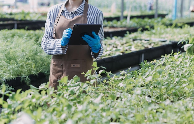 Mujer agricultora trabajando temprano en la granja sosteniendo una cesta de madera de verduras frescas y tabletx9