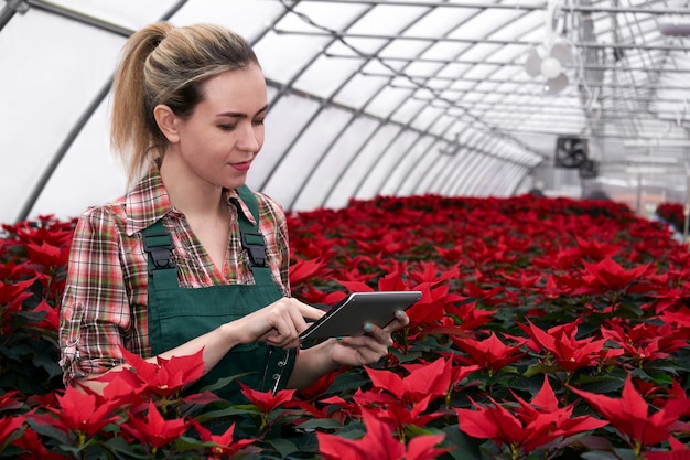 Mujer agrónoma en un invernadero con flores de nochebuena roja trabaja con datos en una tableta electrónica