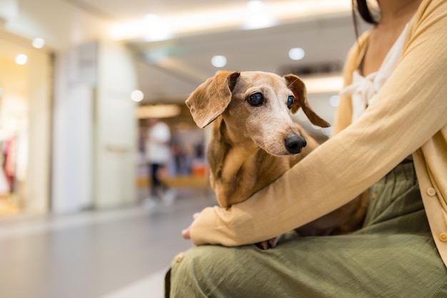 Mujer va al centro comercial con su perro