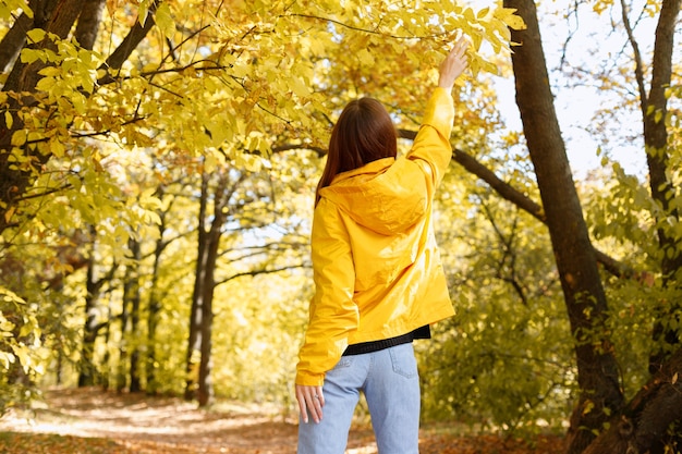 La mujer alcanza las hojas de otoño con la espalda. espacio libre para texto.