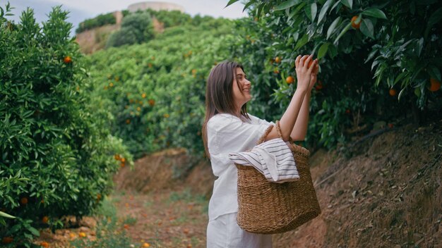 Mujer alegre trabajando en la cosecha plantación de cítricos verdes granjero recogiendo naranjas