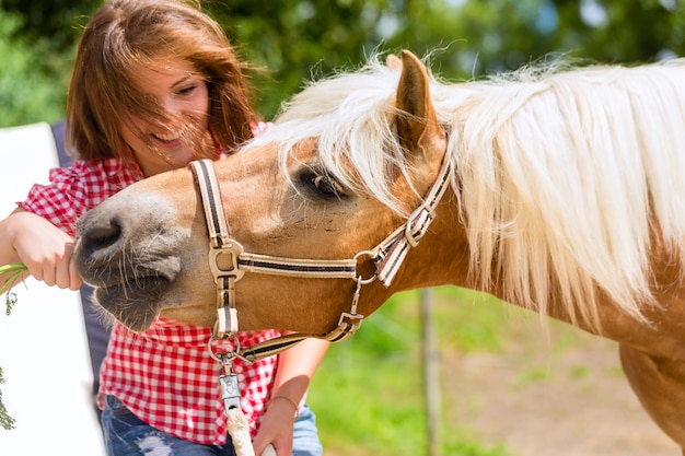 Mujer, alimentación, caballo, en, pony, granja