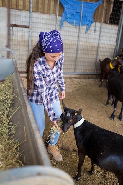 mujer alimentando a las cabras en una antigua granja