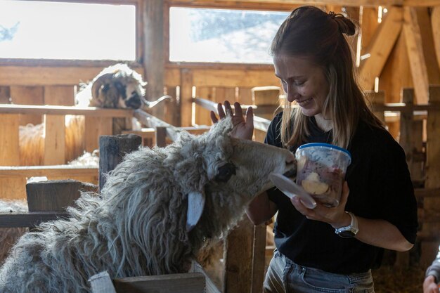 Una mujer alimentando a una oveja con un balde de comida.