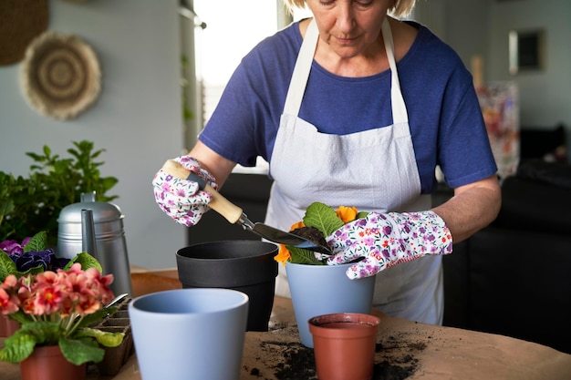 Mujer anciana plantando plantas de interior en su hogar