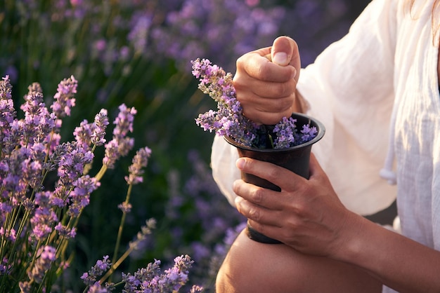 Mujer aplastar flores de lavanda en un mortero contra el fondo de un campo de lavanda