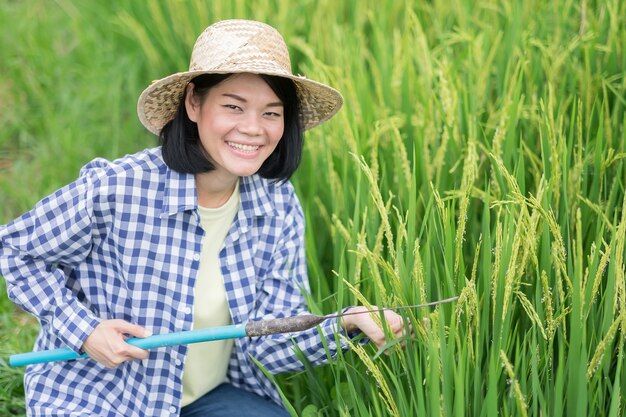 Una mujer asiática campesina con una camisa a rayas se sienta sosteniendo una guadaña y una cabeza de arroz con una cara sonriente en un campo.